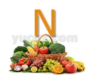 N harfiyle başlayan bitkiler sebzeler ve meyveler